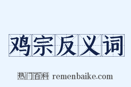 鸡宗反义词是什么意思的图片